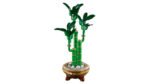 10344 LEGO® Botanicals Şans Bambusu